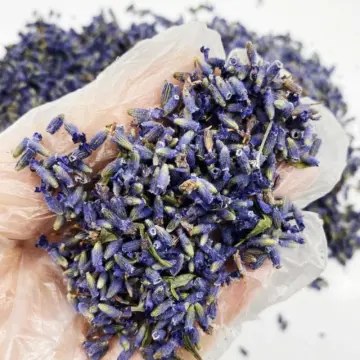 Shop Dried Flowers For Candle Making online